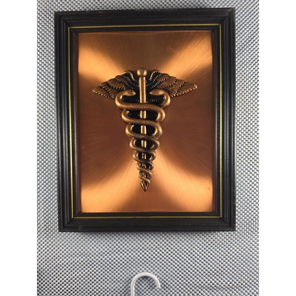 Vintage Caduceus Medical Wall Plaque Copper Tone 3D Doctor Nurse Office Decor